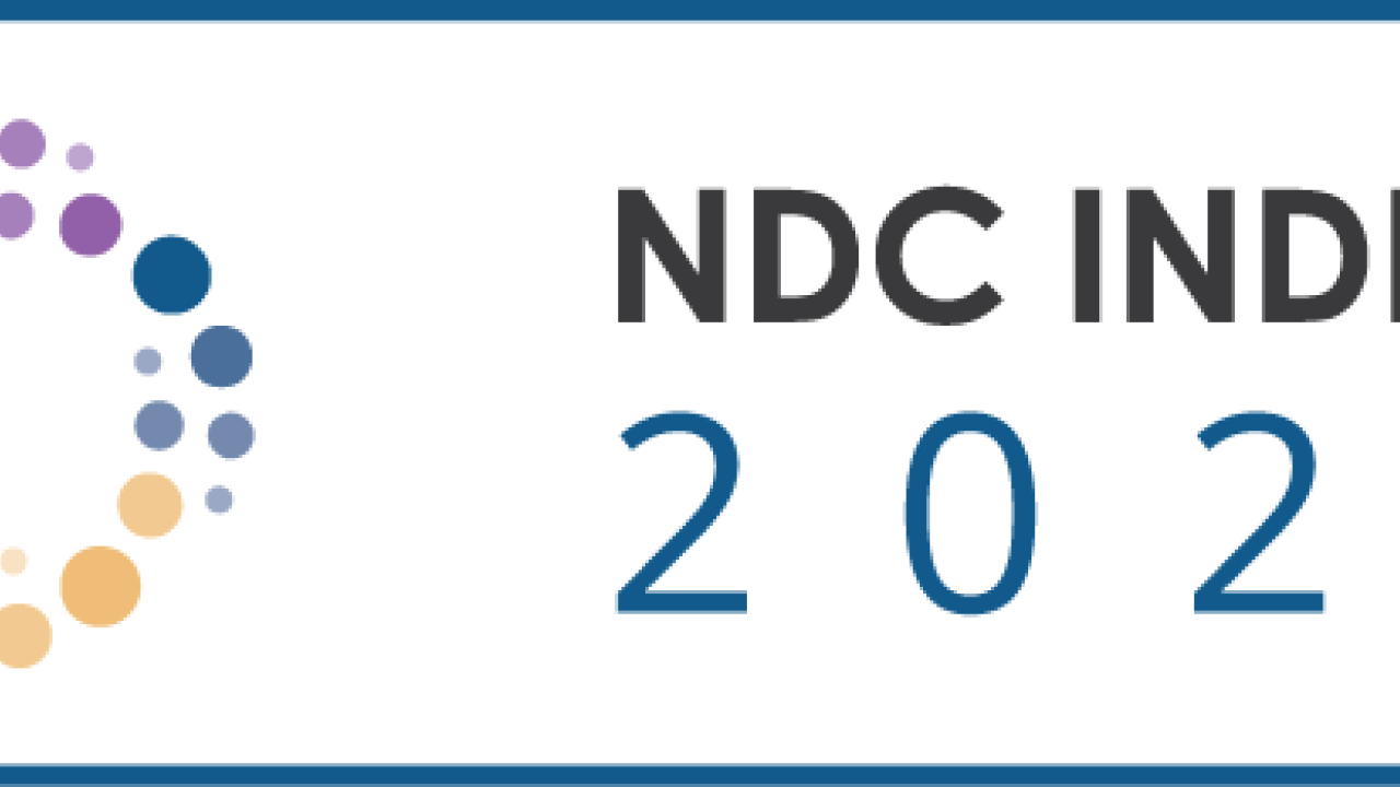NDC Index 2023 with colorful circle logo