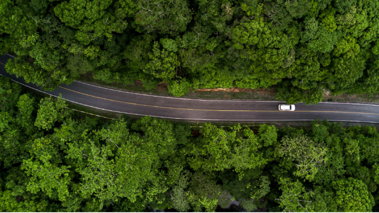 birds eye view of car on road driving through a forest