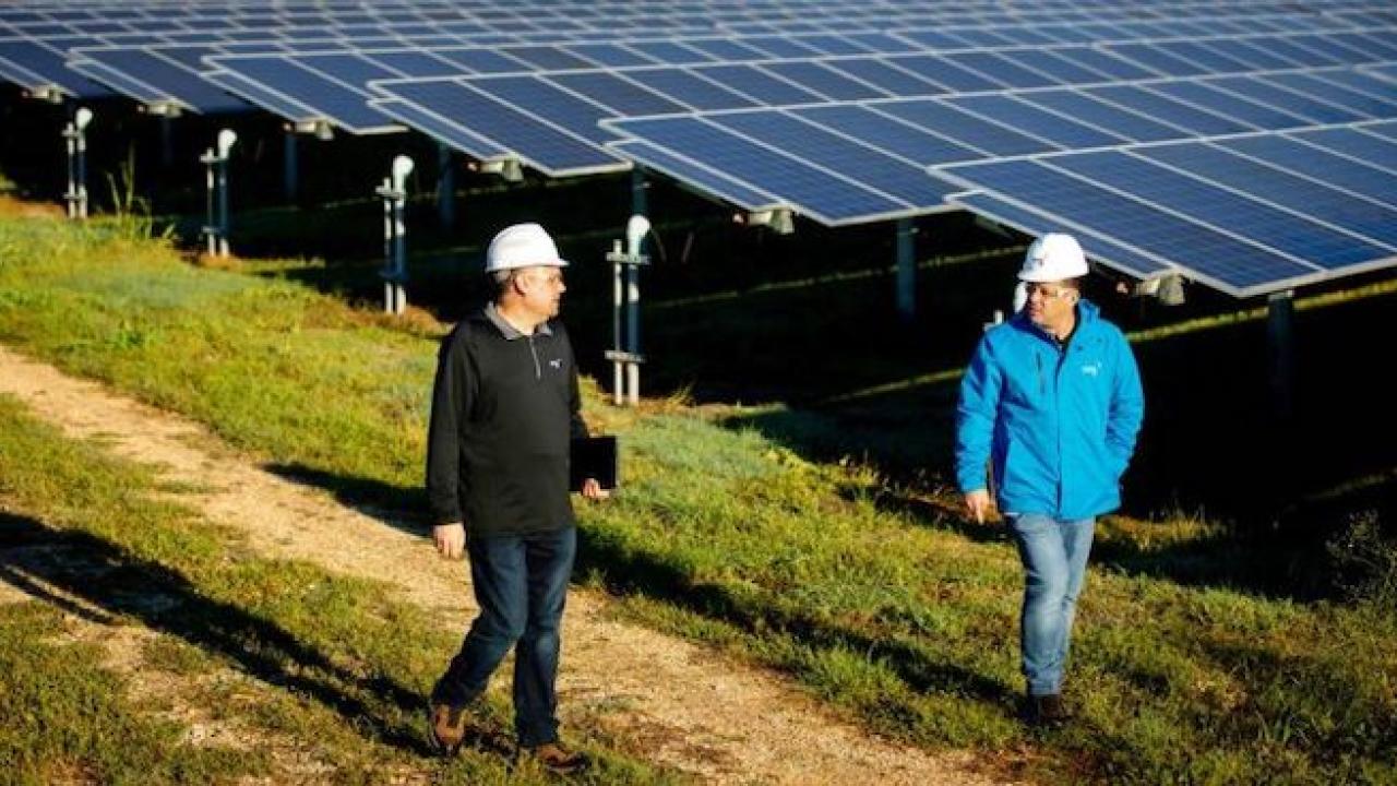 Two men with hard hats walking through a field of solar panels.