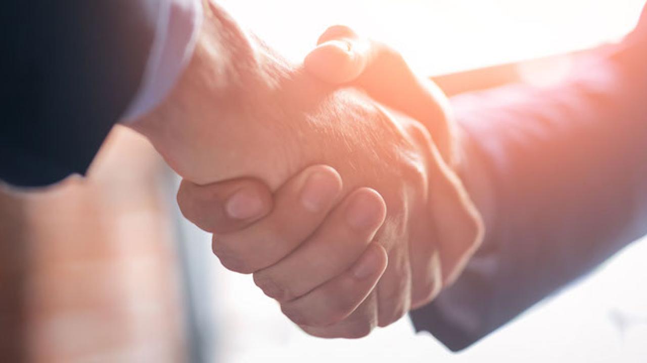 Two people shaking hands.