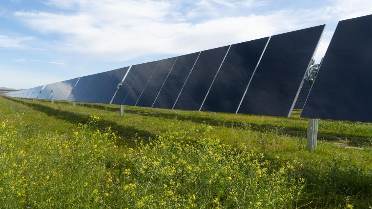 solar panels laid out side by side in a sunny field 