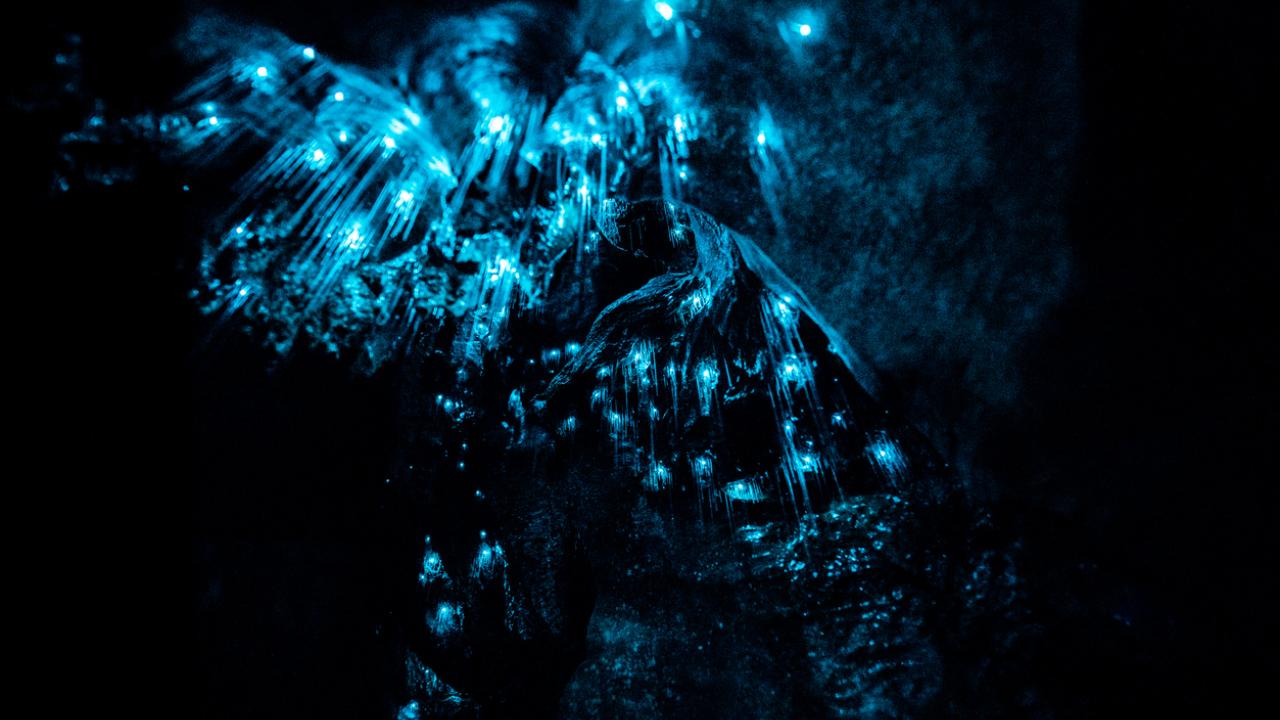 New Zealand Caves