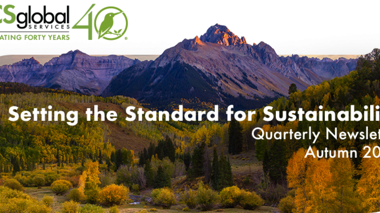 Artistic representation of mountains and trees with the words "Setting the Standard for Sustainability" Quarterly Newsletter Autumn 2024"