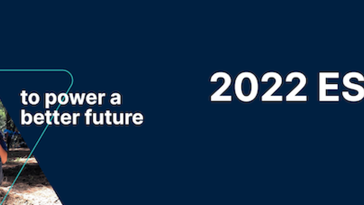 Nielsen 2022 ESG Report Banner