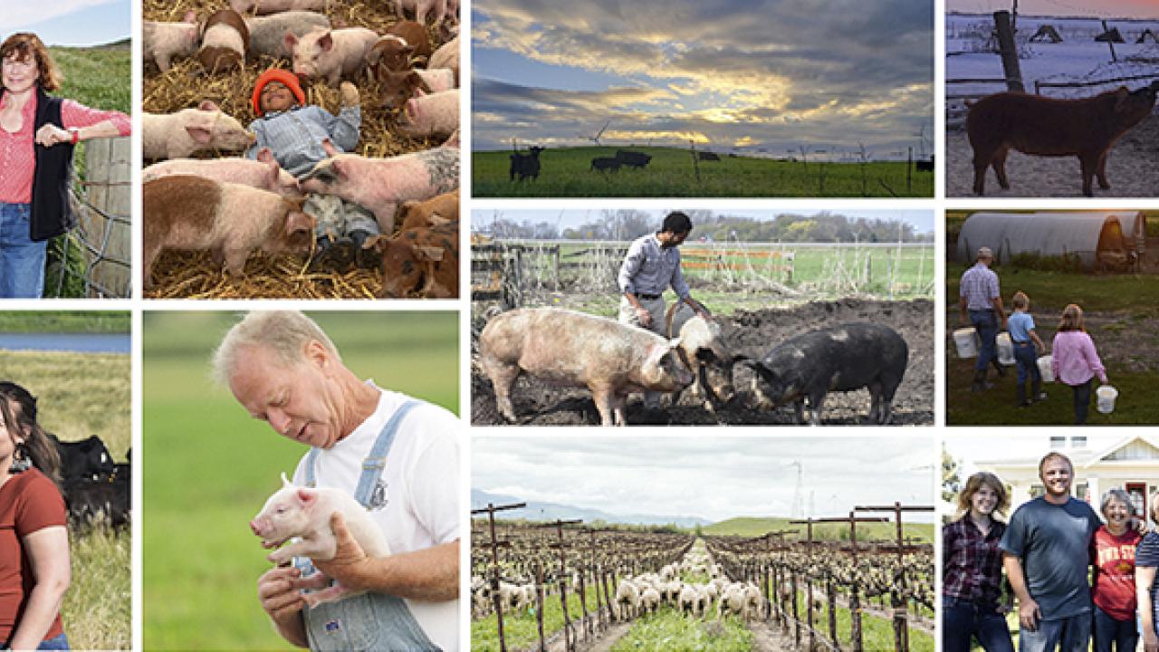 Niman Ranch farmers