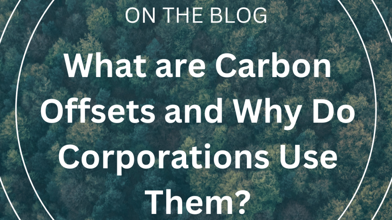 What Are Carbon Offsets and Why Do Corporations Use Them?