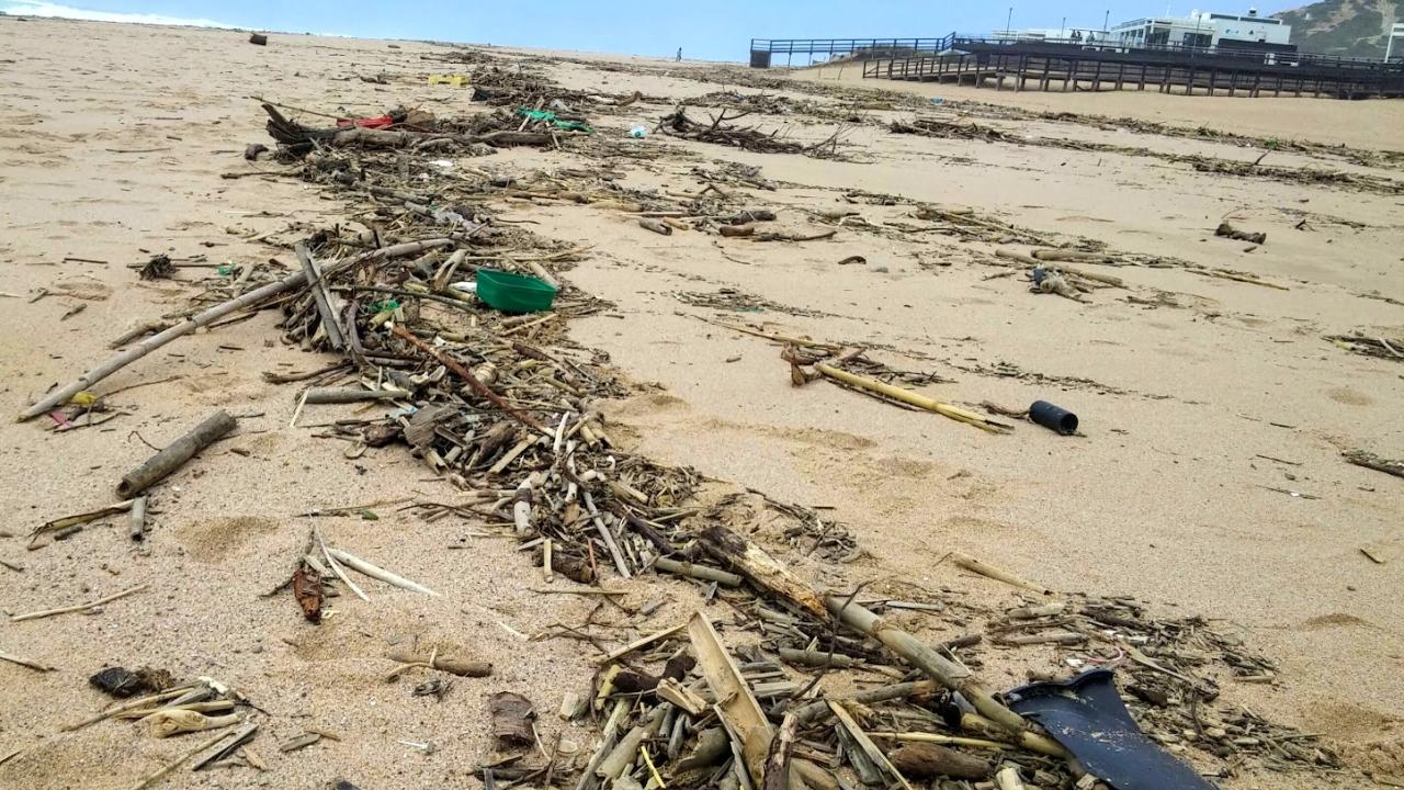 a beach with scattered debris and garbage
