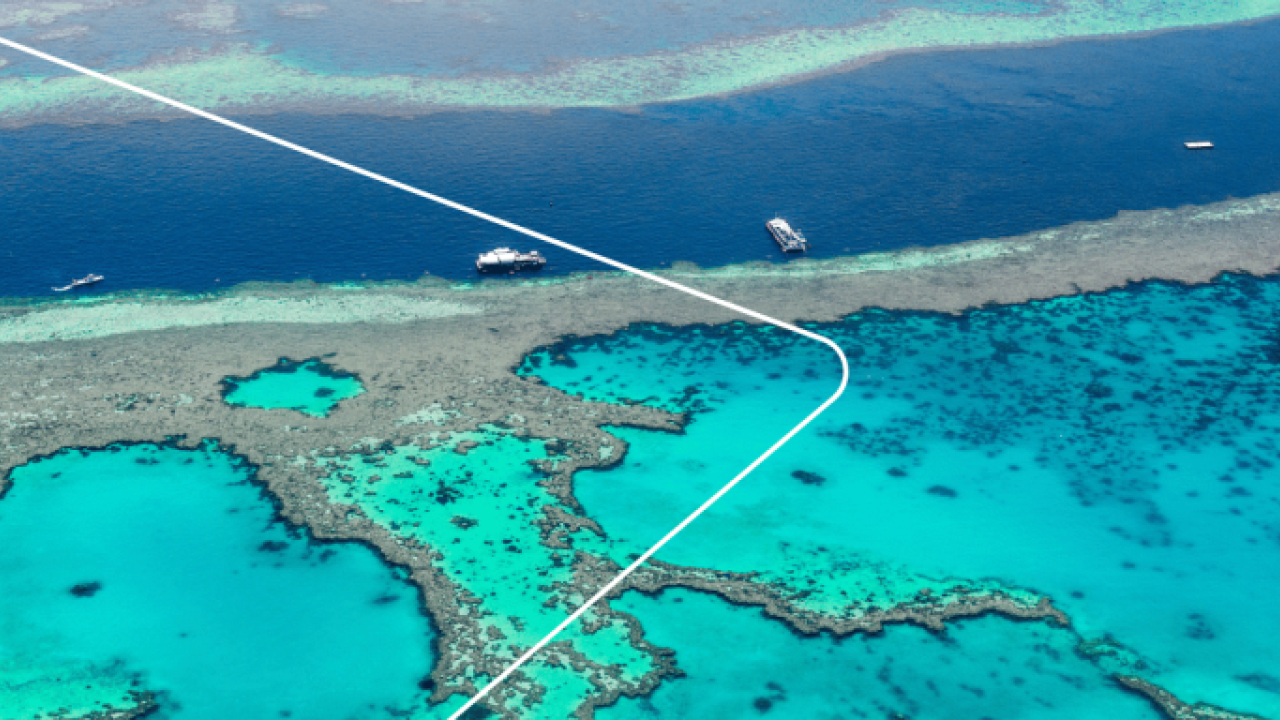 Aerial view of an ocean reef.