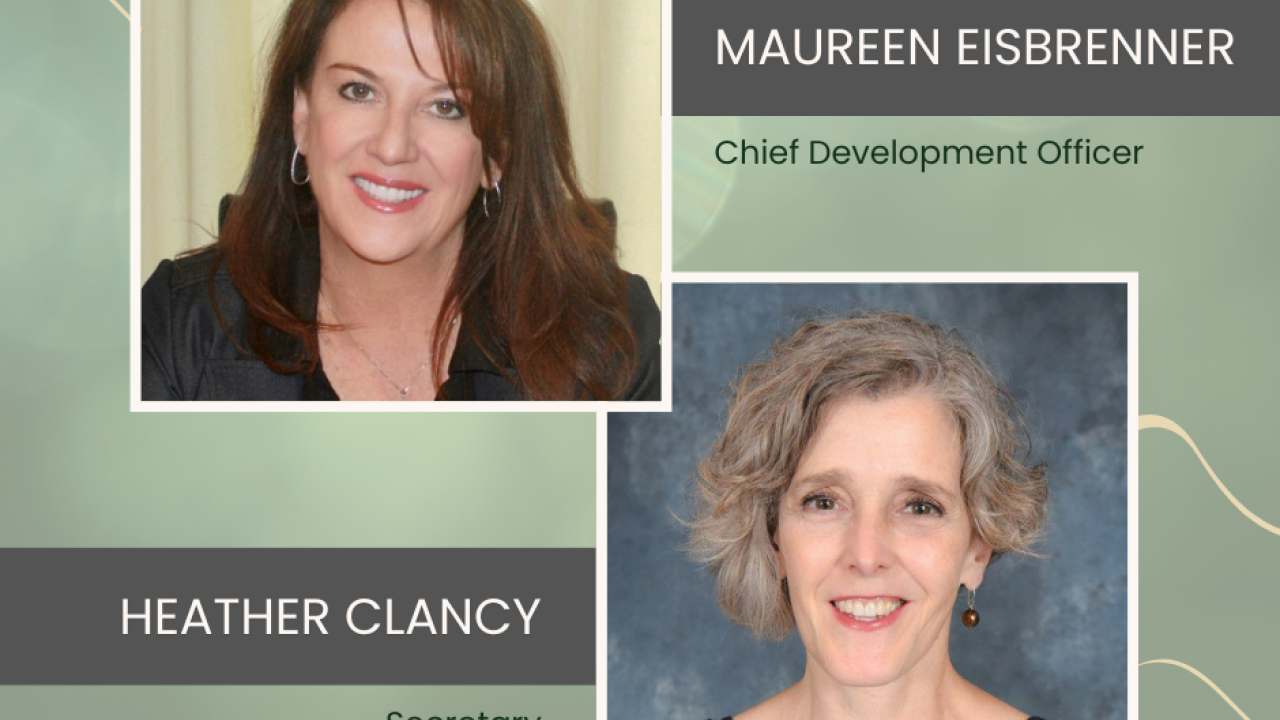 headshots of Maureen Eisbrenner and Heather Clancy