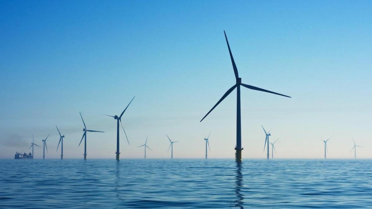 Rows of offshore wind turbines