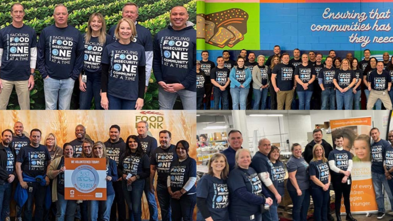 Collage of four photos of groups of volunteers.