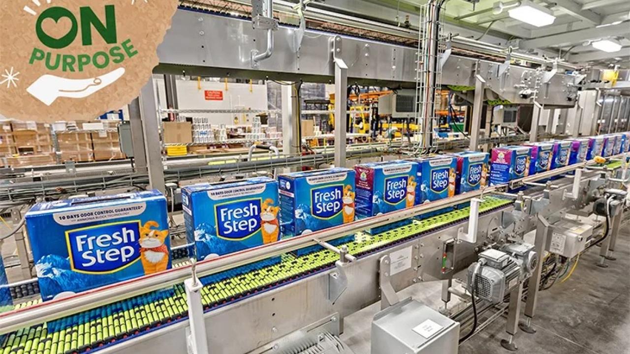 rows of Fresh Step cat litter