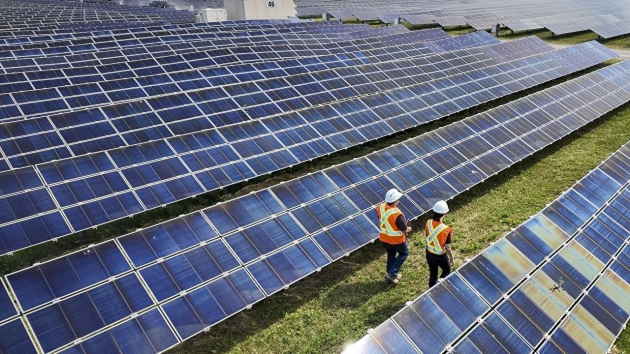 Two people in high-vis vests and hard hats walking down a row of a large field of solar panels.
