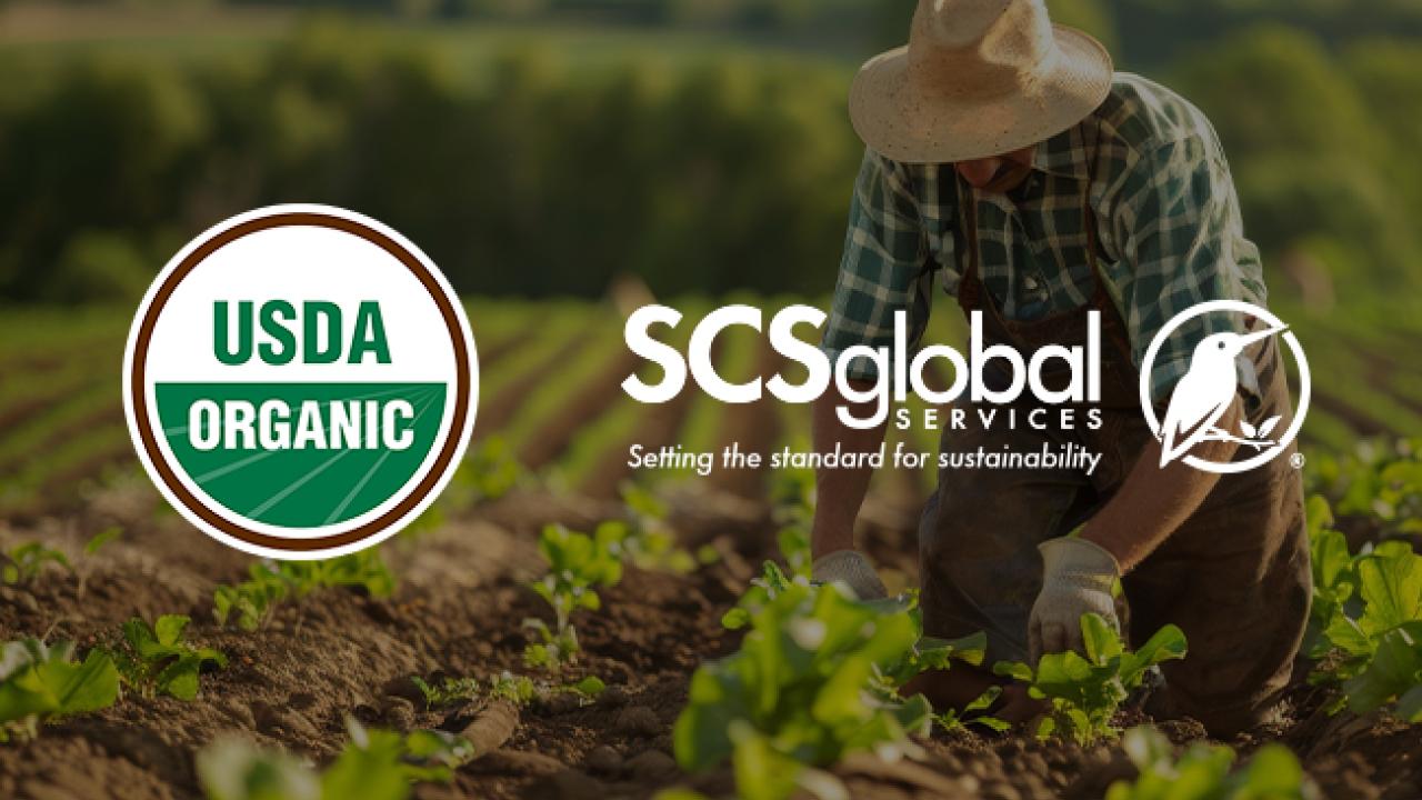 USDA Organic Certification: What Uncertified Importers Need to Know