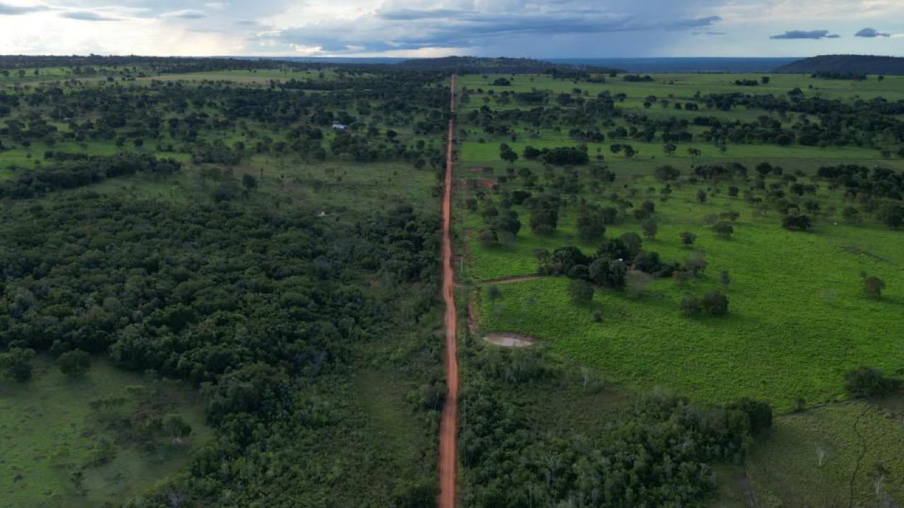 The Cerrado