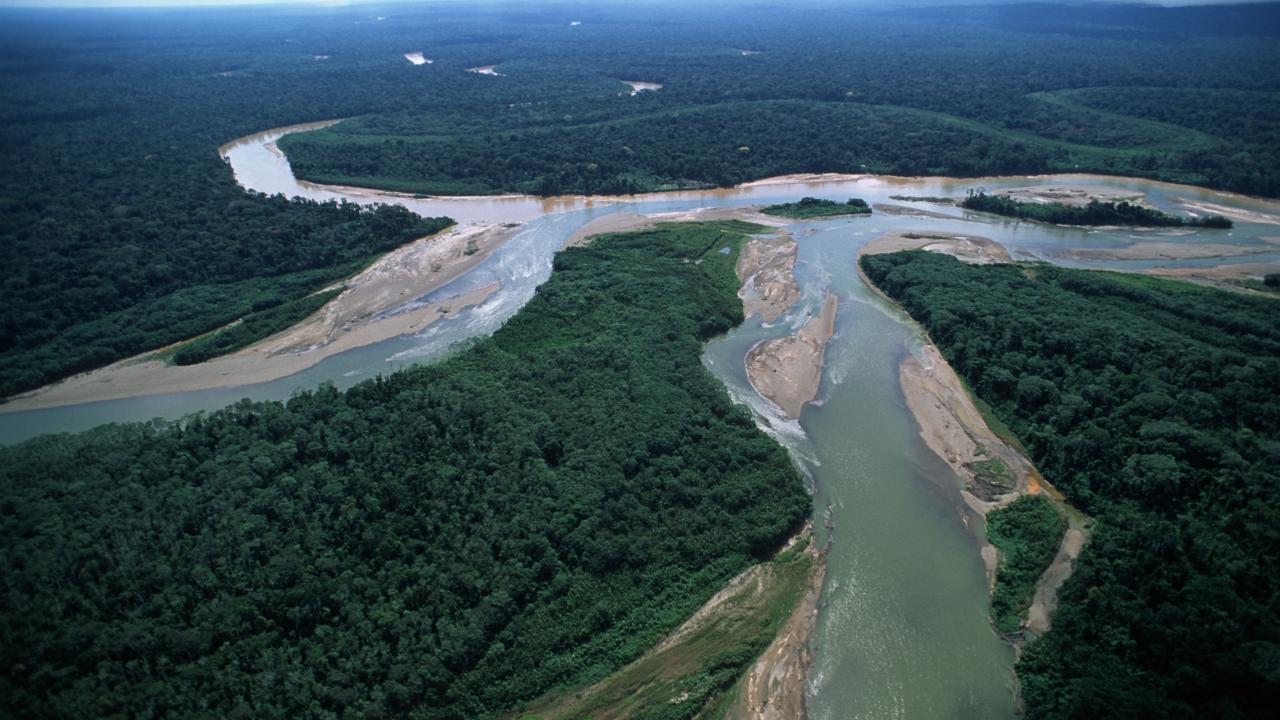 Confluence of Manu River (sediment laden) with clearer Madre de Dios River, former river channel of Manu, plant covered and dry.