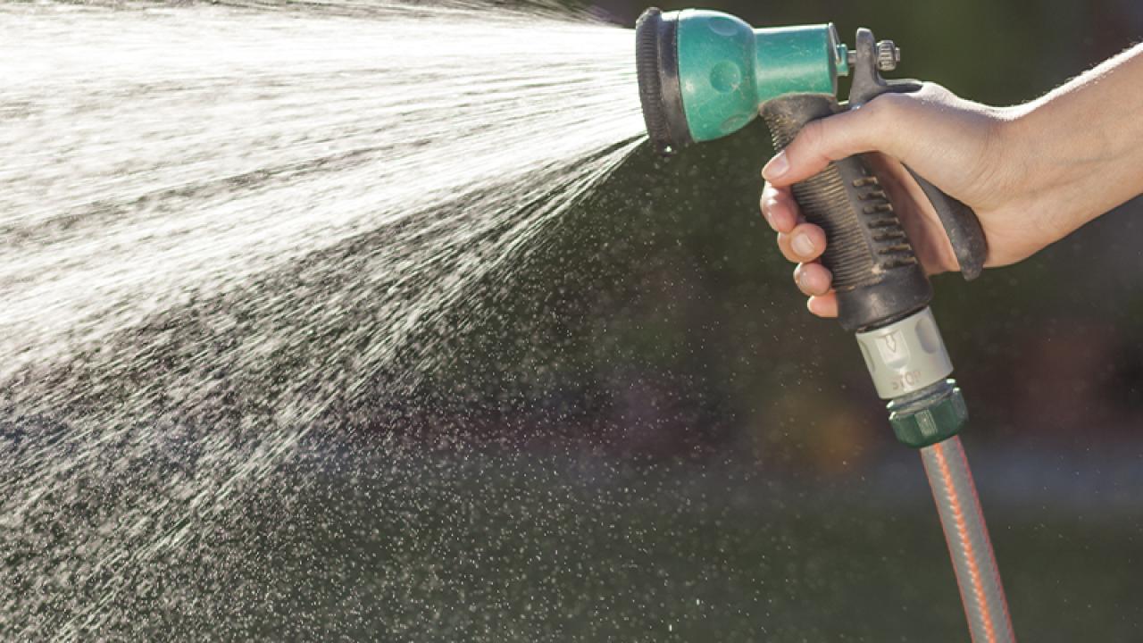 Hand holding a sprayer for the yard and watering.