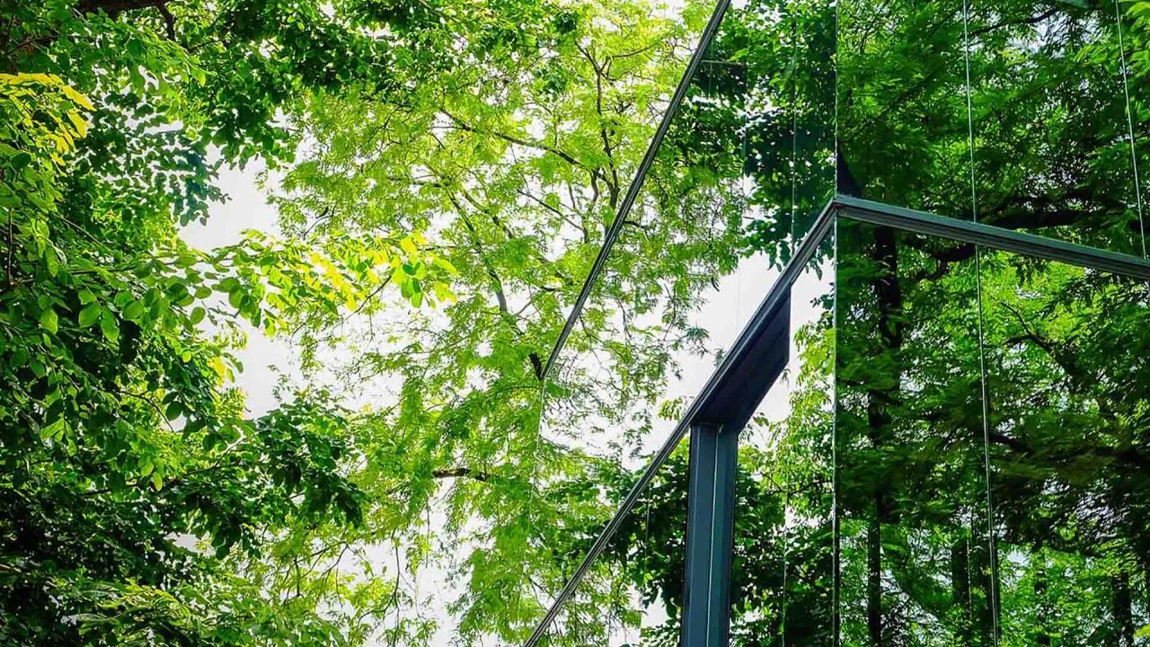 Building reflecting leaves & trees