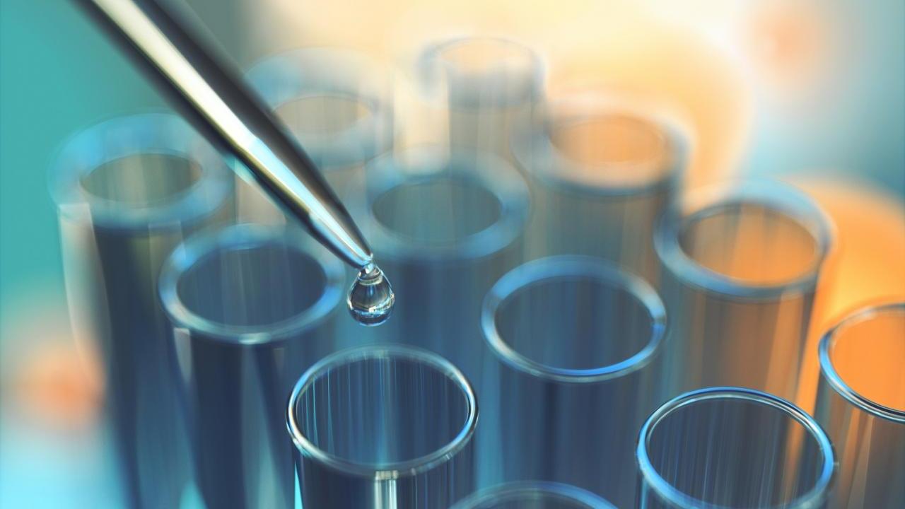 PFAS Toxicology