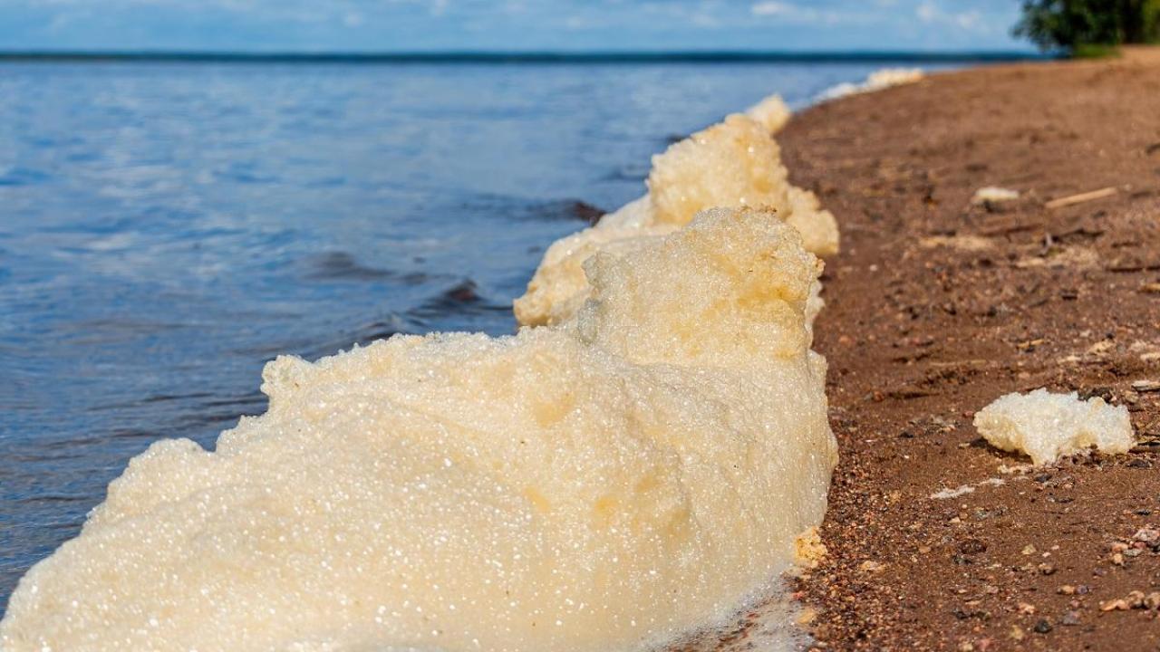 PFAS Foam on a Lake