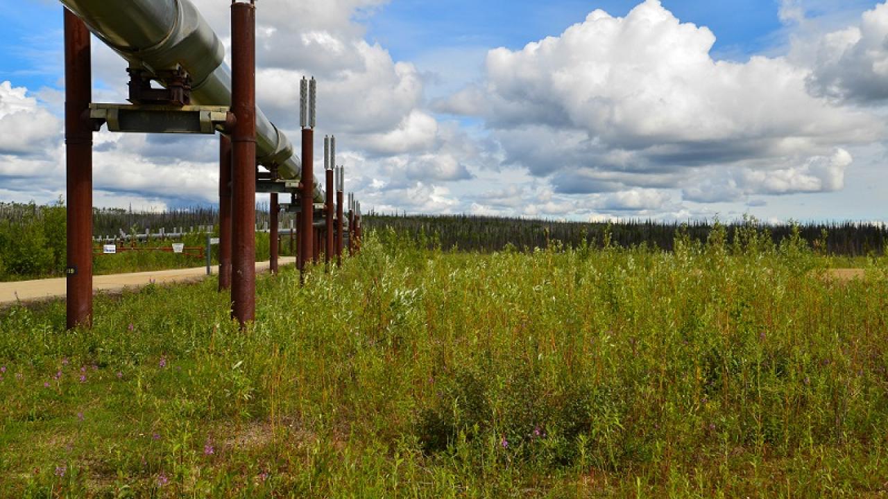 Pipeline in Alaska