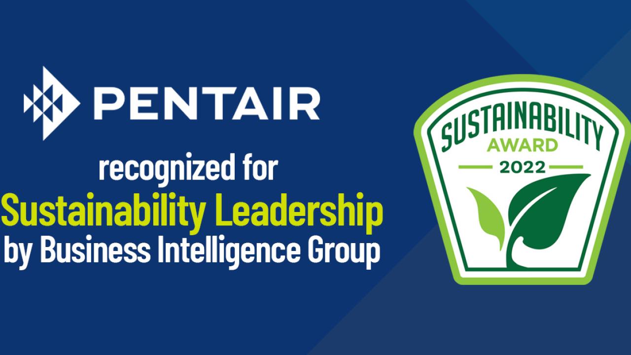 Business Intelligence Group Sustainability Award