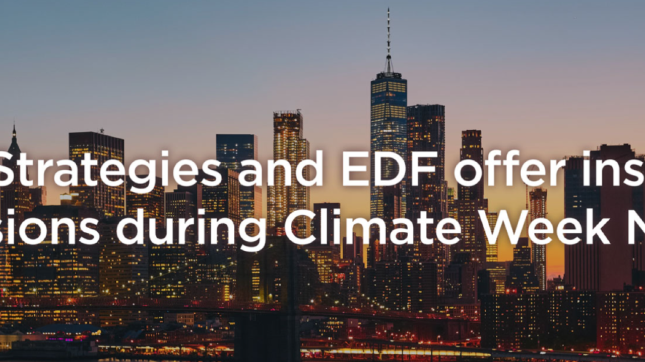 Pure Strategies and EDF offer inspiring sessions during Climate Week NYC!
