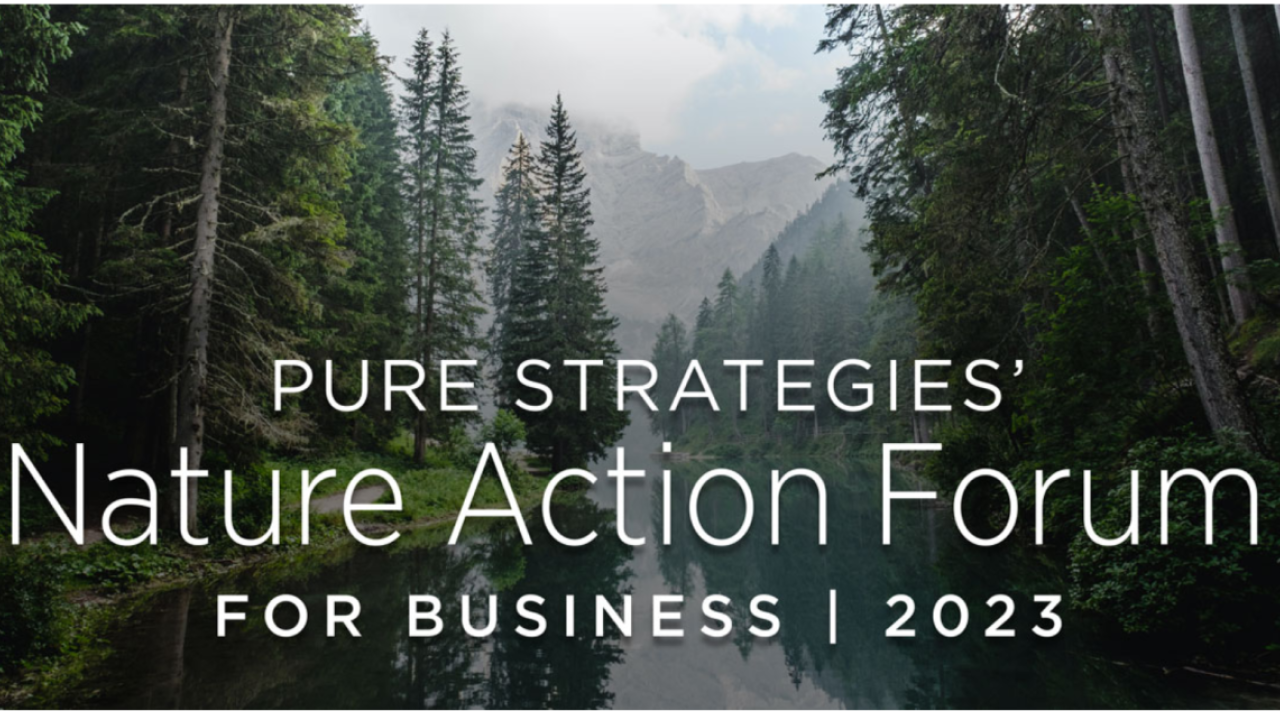 Pure Strategies is now accepting applications for the Nature Action Forum for Business.