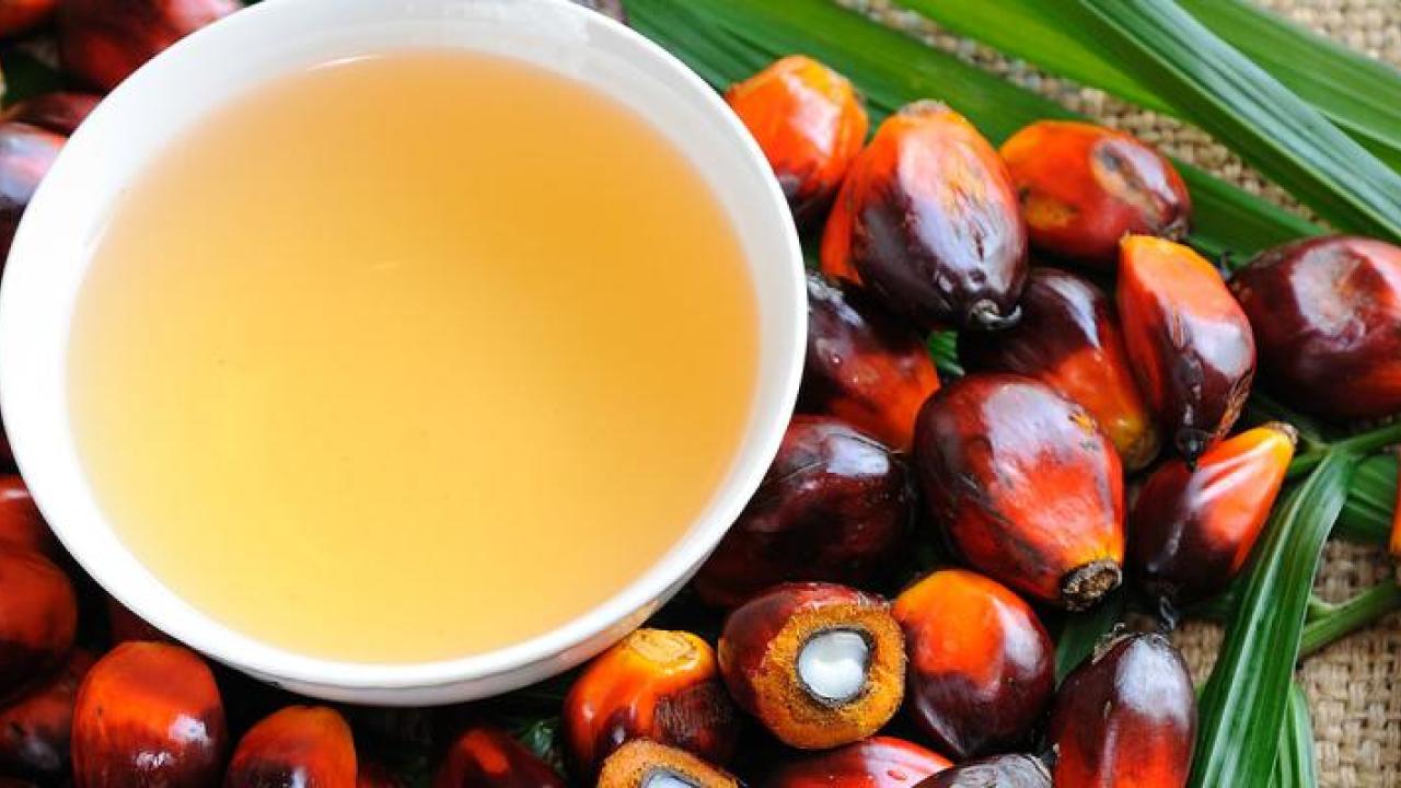 Palm oil on a palm leaf