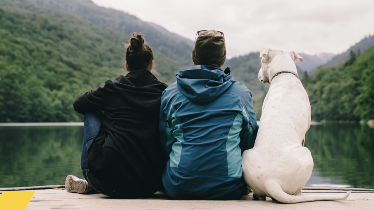Two people sat with their dog looking out on to a lake