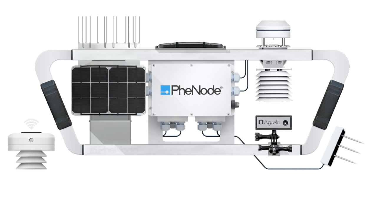 PheNode® Sensor Array