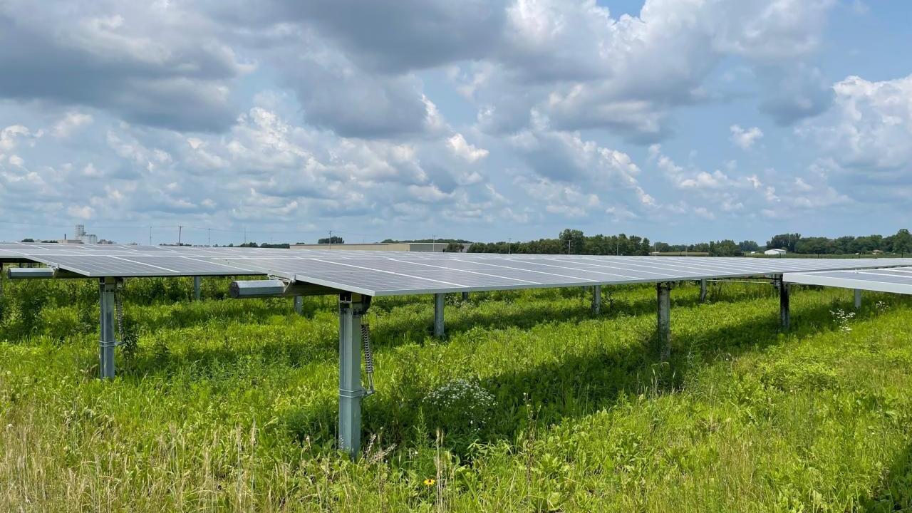 Solar panels in field