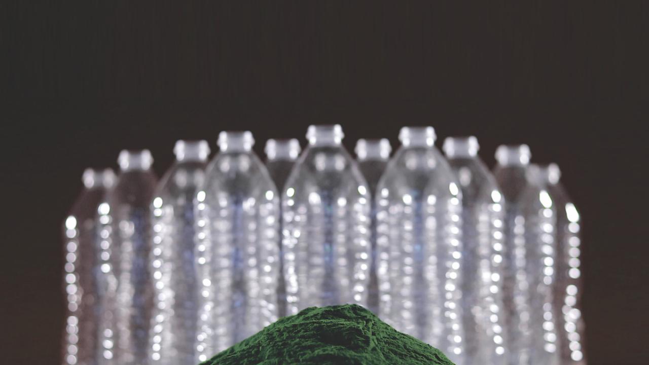 plastic water bottles
