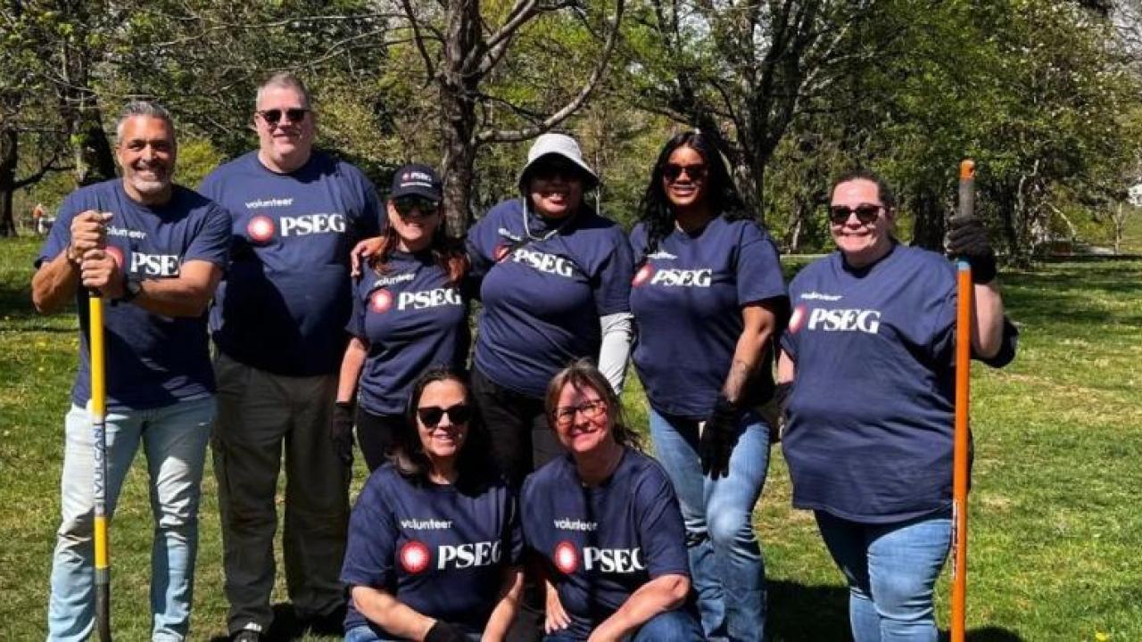 tree planting volunteers
