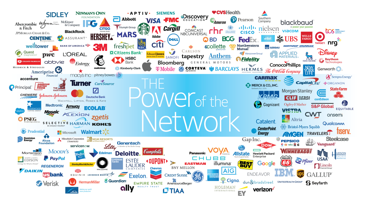 Networking cloud