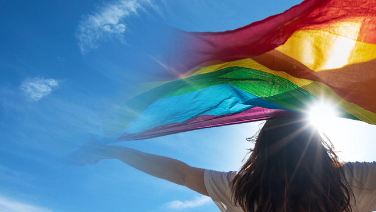 A person looking towards a sun in an open blue sky holding up a rainbow flag.