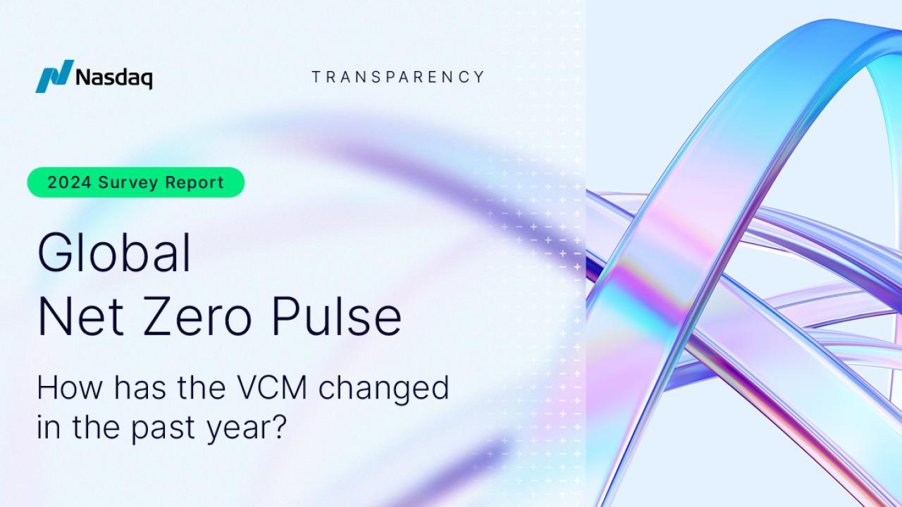 Global Net Zero Pulse. How has the VCM changed in the past year?