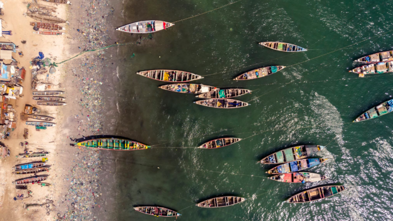 Aerial view of small boats on a bod of water and a busy shoreline.