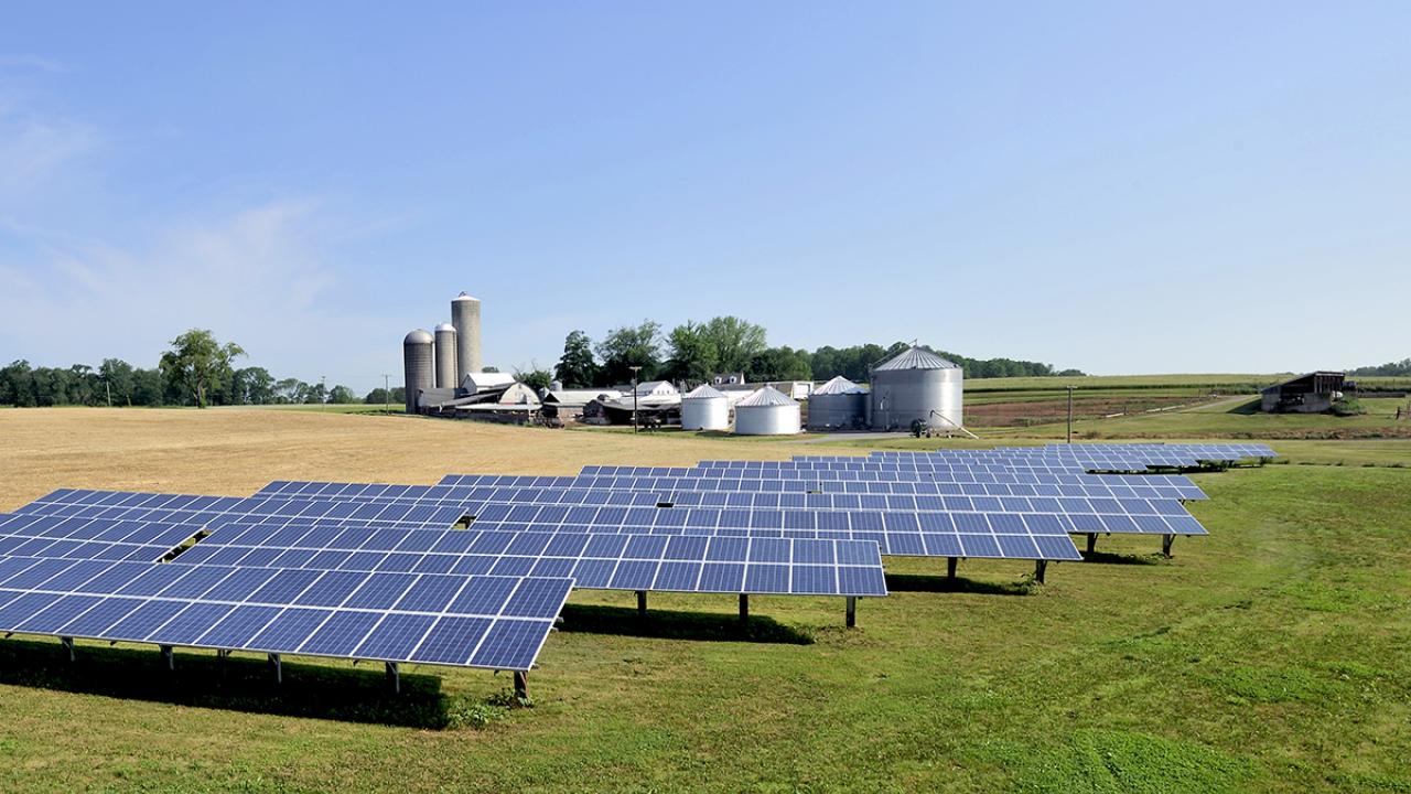Solar panels in a field
