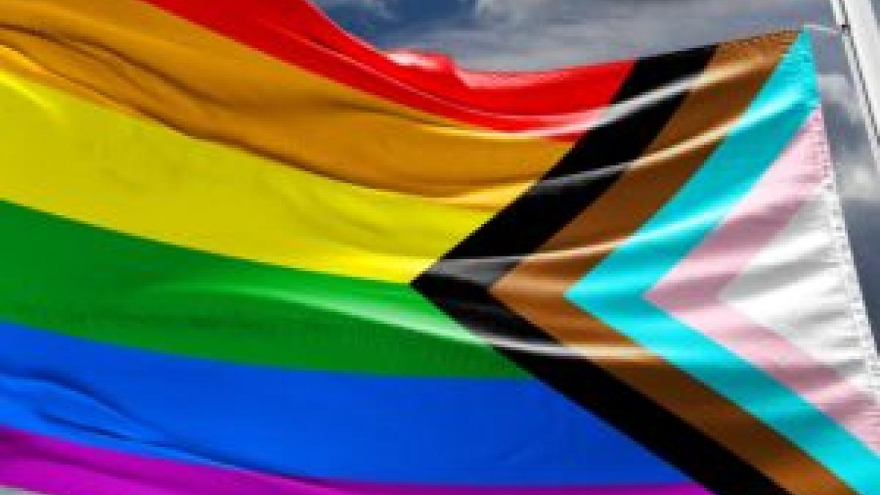 LGBTQ+ Flag 