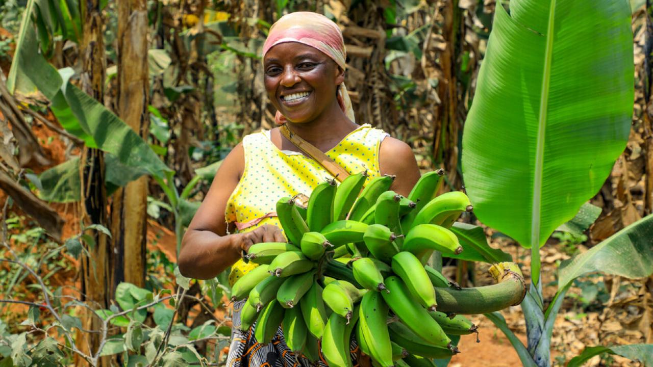 A farmer holding bananas