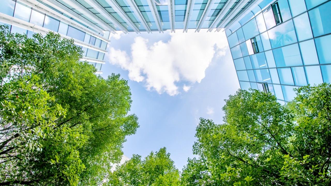 Bottom-up view of an office building and trees with a blue sky in the background