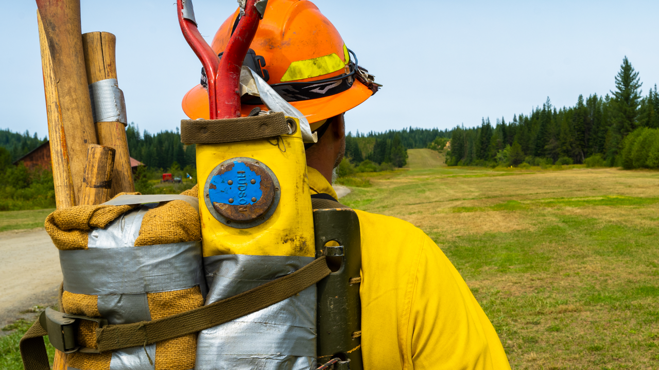 firefighter with trees in the background