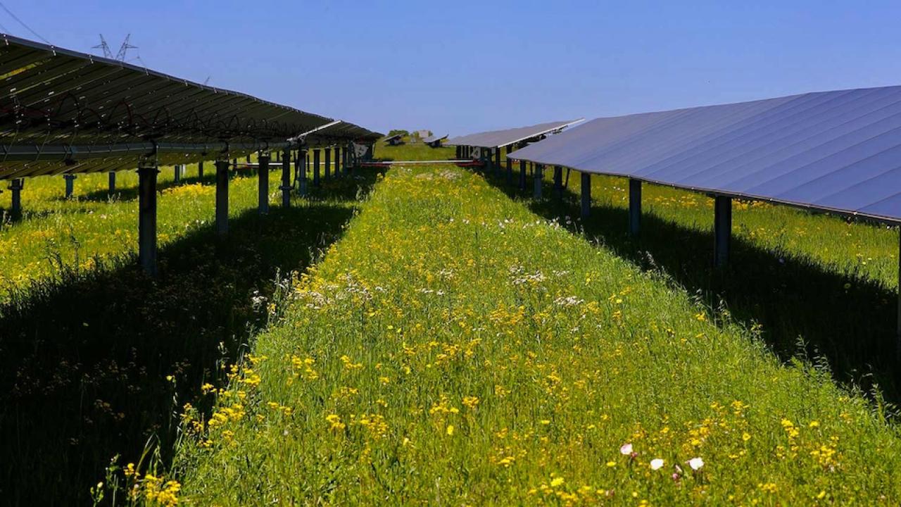 A solar panel array is shown in a green field.