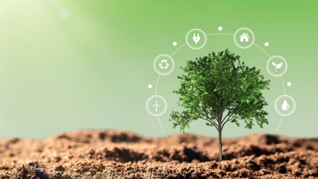 Tree surrounded by ESG symbols