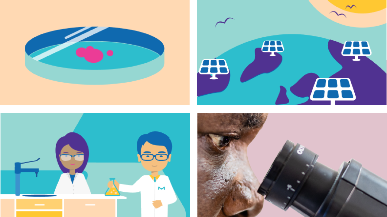 Four quadrants showing artistic representations of a Petri dish, solar panels, scientists in a lab, and a person looking into a microscope, respectively