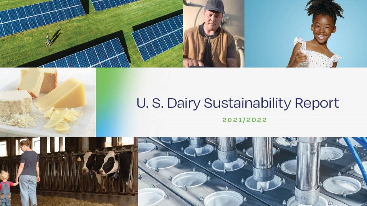 U.S. Dairy Sustainability Report cover with image of dairy cows, people, and solar panels