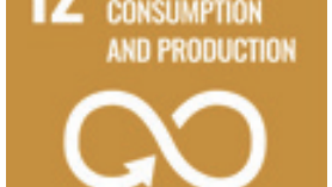 Responsible consumption and production logo
