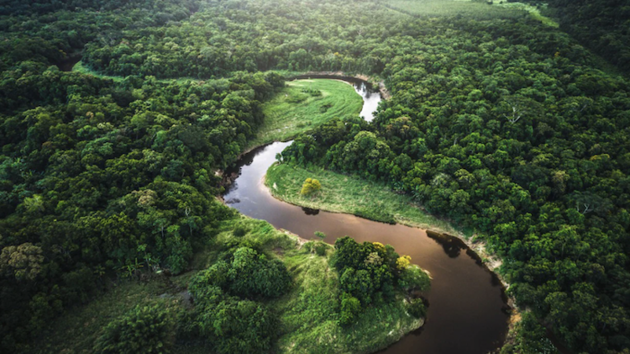 River shown meandering through a rain forest.