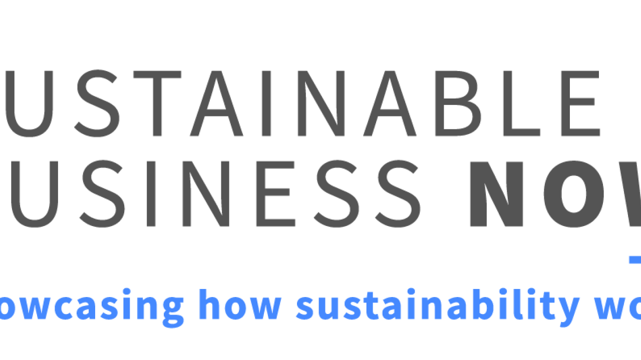 Sustainable Business Now logo